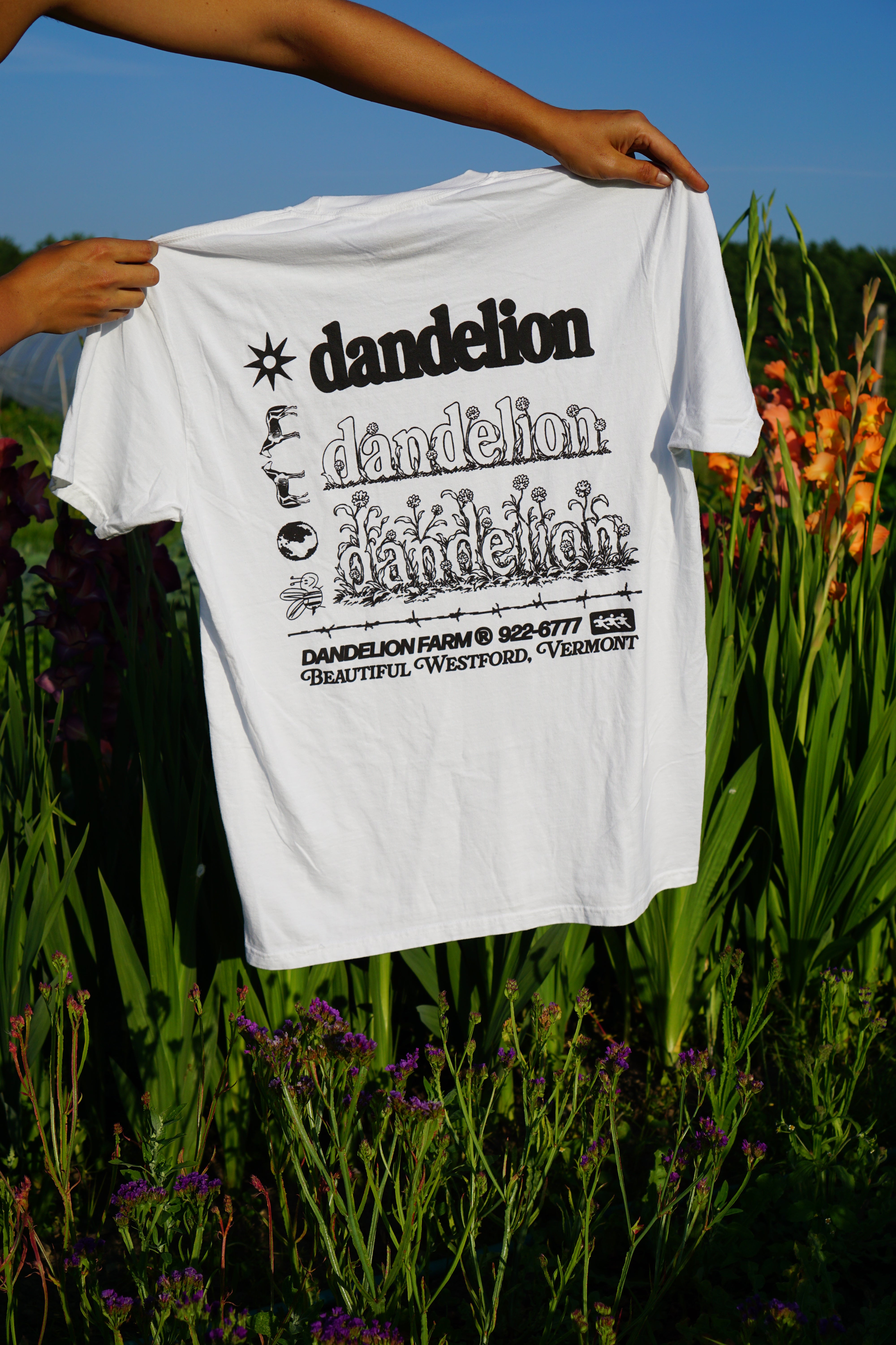 Beautiful T-shirt