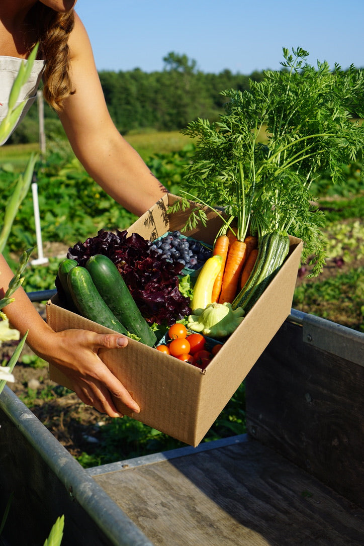 Veggie Drop - Aug 13th