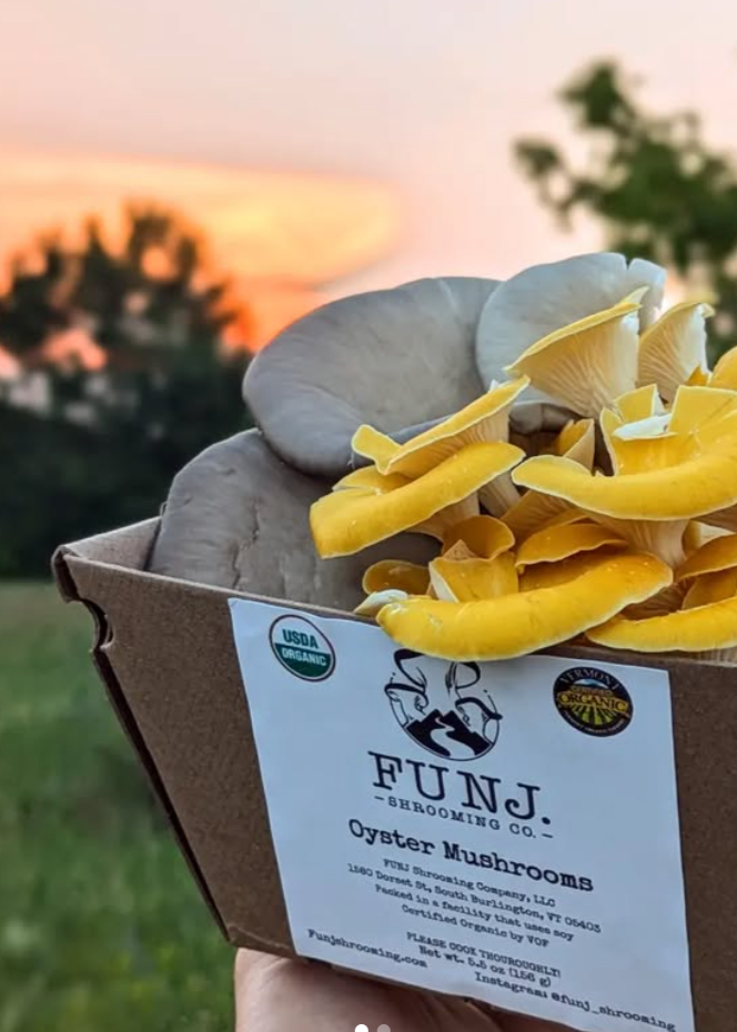 FALL Mushrooms - FUNJ Shrooming Co